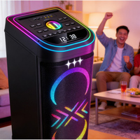 Altavoz de Karaoke Bluetooth con Micrófono, Altavoz para Fiestas al Aire Libre, Altavoz de Karaoke Dual de 10 Pulgadas con Micrófono y Bluetooth