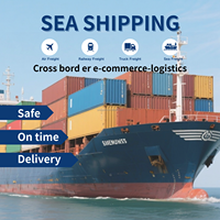 Meilleur agent maritime chinois, transitaire maritime vers la France et la Belgique depuis la Chine, service de dropshipping DDP