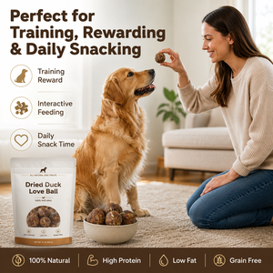 Paitei - Snacks de Pato Seco Sin Granos para Mascotas, Naturales, Altos en Proteínas, Golosinas Masticables Saludables para Perros y Gatos, Venta al por Mayor - Product Image 5