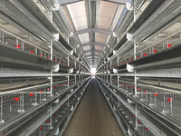 Cages à poulets automatiques en acier galvanisé et plastique de type H, à étages, pour l'élevage, marque TBB, best-seller, garantie 1 an
