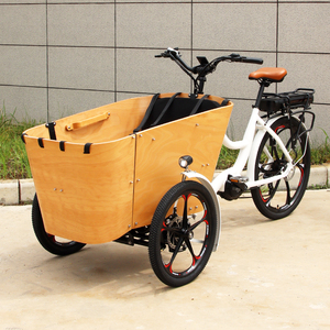 Triciclo eléctrico con sidecar según normas de la UE, <span class=keywords><strong>bicicleta</strong></span> eléctrica de carga, remolque Bakfiet, <span class=keywords><strong>bicicleta</strong></span> eléctrica de carga, aleación de aluminio - Product Image 2