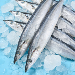 Bajo Precio, Saury del Pacífico Congelado, Macarela, Lucio, Pescado Fresco Congelado Directo de Fábrica, Mercados de <span class=keywords><strong>Mariscos</strong></span>, Distribuidores, Listo para Enviar - Product Image 2