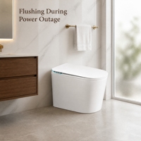 Toilette intelligente pour personnes handicapées, bidet électrique accessible avec siège chauffant, télécommande et chasse d'eau automatique, à sortie verticale allongée