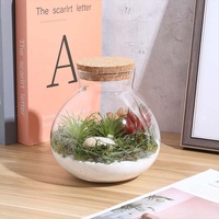 Vente en gros de terrarium sphérique en verre fait main avec couvercle en liège, pour micro-paysages de mousse, plantes succulentes, fougères et plantes aériennes