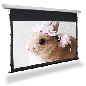 Màn Hình Máy Chiếu Gắn Trần Tự Động 150Inch 200Inch Dành Cho Máy Chiếu Ngắn Chống Ánh Sáng - Product Image 6