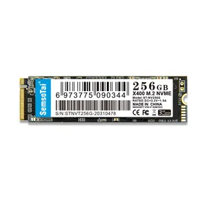 Semsotai M.2 256GB NVME PCIE SSD高速