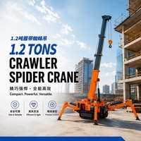 Grue araignée de 1,2 tonne avec flèche télescopique rotative à 360 degrés, idéale pour les espaces étroits, équipée d'une alarme de surcharge pour la sécurité