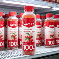Yutangyuan NFC 100% Crabapple Samenstelling Sap 300ml Fles Versgeperst Fruitdrank Schud goed voor het drinken