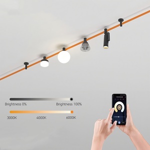 Système de rails LED 48V Blanc Noir Surface de <span class=keywords><strong>plafond</strong></span> Encastrée Aimant de levage <span class=keywords><strong>Rail</strong></span> d'éclairage <span class=keywords><strong>pour</strong></span> feux de piste magnétiques - Product Image 2