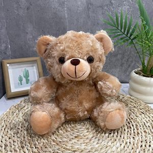 Orsacchiotto di Peluche Personalizzato, Bambola Orsetto Vestita per Eventi Aziendali e Regali di Laurea - Product Image 6