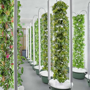 Invernaderos agrícolas, sistema aeropónico Vertical de Agricultura, cultivo hidropónico para jardín torre con componentes de motor y núcleo de bomba - Product Image 5