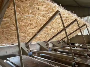 Panel de <span class=keywords><strong>techo</strong></span> grueso <span class=keywords><strong>Osb</strong></span> 3 2 Flakeboards de madera contrachapada <span class=keywords><strong>para</strong></span> techos de edificios - Product Image 6