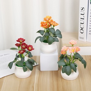 Vente directe d'usine de roses en pot, fleurs de prunier, articles décoratifs en pot créatifs et touchants pour hôtels et restaurants - Product Image 2
