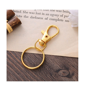 Vàng Bạc Đen Brass Xoay Dây Buộc Snap Hook Xoay Tôm Hùm Claw Clasp Với 25Mm Chia Vòng Chìa Khóa Cho DIY Thủ Công Mỹ Nghệ - Product Image 3