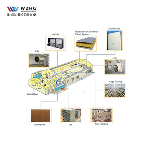 Trại chim bồ câu thép kích thước tùy chỉnh với hệ thống tích hợp cho việc chăn nuôi trọn gói - Product Image 3