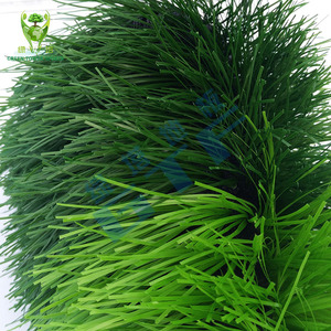 Césped Artificial para Campos <span class=keywords><strong>de</strong></span> Fútbol, Césped Sintético para Estadios y Escuelas, Césped Monofilamento Duradero - Product Image 3
