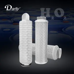 Darlly 100% Polyester Medien plissiert Mikronfilter Industriefilter 10 Schlussprodukt PET bereitgestellte Wasserstifte