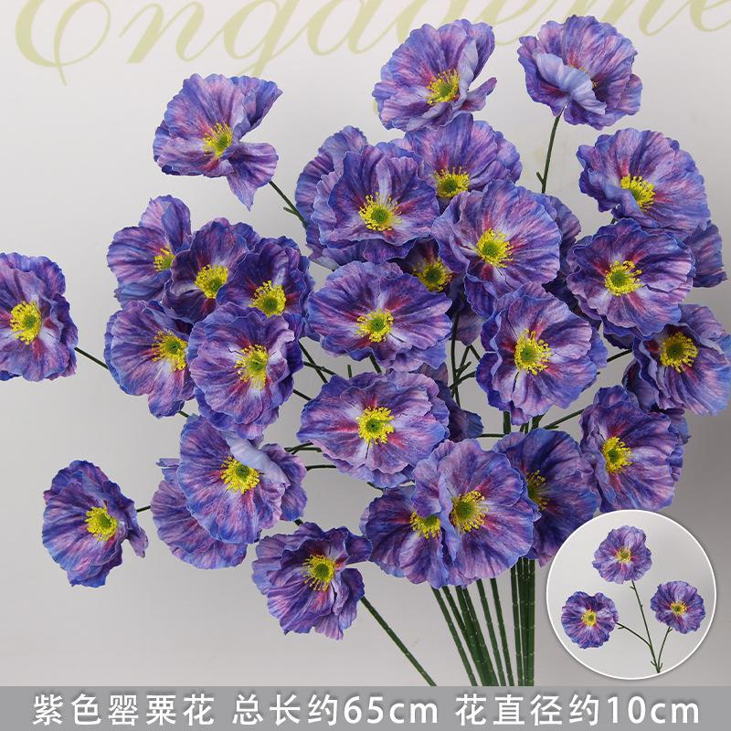 Rama de amapola morada