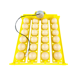 Meilleure qualité incubateur plateau à oeufs <span class=keywords><strong>24</strong></span> pièces oeufs de poule plateau à oeufs à rotation <span class=keywords><strong>automatique</strong></span> pour mini incubateur - Product Image 1