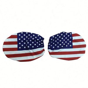 Bandera Lateral para Auto con Diseño Personalizado, Precio Económico, MOQ Bajo, con Asta de Fibra de Vidrio, Impermeable, para Autos y SUVs - Product Image 1