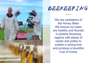 <span class=keywords><strong>Miel</strong></span> de <span class=keywords><strong>Manuka</strong></span> Orgánica Natural BEESTAR MGO100+/UMF5+, <span class=keywords><strong>Miel</strong></span> Cruda Pura de Nueva Zelanda, Apoyo Inmunológico, Envasada en Botella Seca - Product Image 5