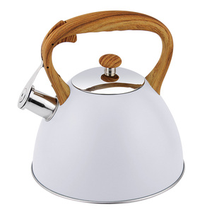 HausRoland Ready Tea <strong>Kettle</strong> for Gas <strong>Hob</strong> Tea <strong>Kettle</strong> Suitable for Stove Top Stainless Steel Tea <strong>Kettle</strong> - Product Image 5