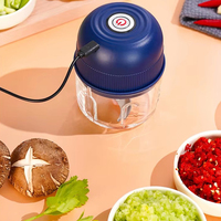 Elektrische multifunctionele hete knoflookpers, -hakselaar en -snijder van glas & PP voor keuken, ui, aardappel, fruit en groenten, milieuvriendelijk