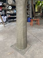 Olivier artificiel en fibre de verre de haute qualité, ultra-réaliste, toucher naturel, 350 cm, pour le Nouvel An