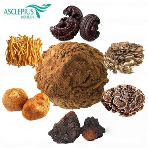 Polvo de Hongo <span class=keywords><strong>King</strong></span> Oyster de Grado Alimenticio, Envasado al Vacío, Certificado ISO9001/Halal/Kosher/GMP, en Tarro de Vidrio, Tambor o Contenedor de Plástico - Product Image 2