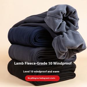 Heren Winter Warme Fluwelen Katoenen Sherma Broek Lam Fleece Gevoerde Dikke Joggingbroek Casual Sport Stijl Taille Recht Patroon - Product Image 2