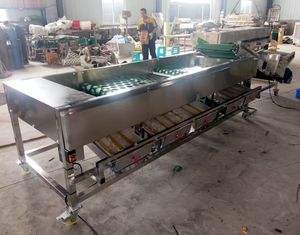 Machines de tri et de calibrage des agrumes, pommes de terre, avocats, mangues, oignons et citrons à prix d'usine - Product Image 6