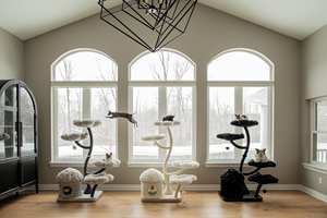 Arbre à chat floral personnalisé tour de maison en bois décoratif griffoir <span class=keywords><strong>pour</strong></span> animaux de compagnie jouets d'arbre de noël <span class=keywords><strong>chats</strong></span> fleur arbre à chat <span class=keywords><strong>pour</strong></span> grand chaton - Product Image 5