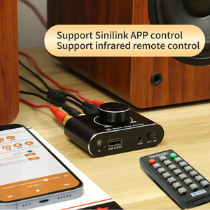 เครื่องขยายเสียงดิจิตอลสเตอริโอระดับไฮไฟ XY-X100H ชิปประมวลผลเสียงแบบดูอัลคอร์ TPA3116 กำลังขับ 100W*2 บลูทูธ 5.1 สำหรับใช้ในบ้าน รุ่น X100H - Product Image 5