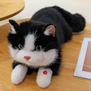 Giocattolo musicale gatto farcito educazione bambino peluche emulazione gatto bianco giocattolo elettronico personalizzato - Product Image 5