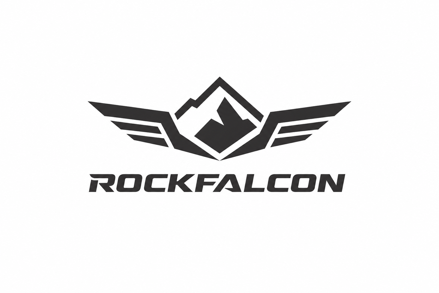Rockfalcon  (Chongqing) Technology Co., Ltd. logo