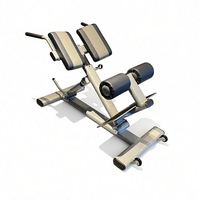 Équipement de musculation de haute qualité, réglable, robuste, durable, en acier tubulaire ovale, sûr, stable, résistant, pour les abdominaux, le dos, l'hyperextension