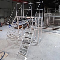 Escaliers en aluminium de sécurité industrielle personnalisés, plates-formes à marches, échelles avec attaches, pieds, niveleur de jambes