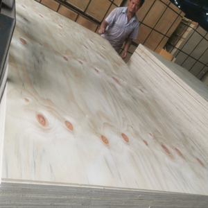 CDX Prix Inférieur 4X8 <span class=keywords><strong>Pin</strong></span> Extérieur Contreplaqué Plancher extérieur backplating plaque de bois 1220x2440 - Product Image 2