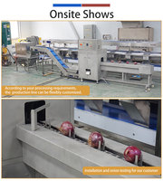 Fengxiang Hoge Efficiëntie Ui Kop- en Staart Snijdende & Schilmachine met Pomp 800-1000kg/u Energiebesparend