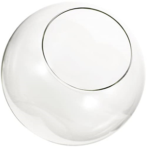 Vaso di decorazione per la casa succulenta aria chiara globo Micro paesaggio terrario palla di vetro - Product Image 6