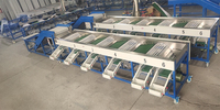 Automatische Gailic sorteermachine, knoflook sorteermachine, groente- en fruit sorteermachine, tomaten sorteermachine