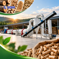 Ligne de production de granulés de bois industrielle automatique haute performance pour l'énergie biomasse