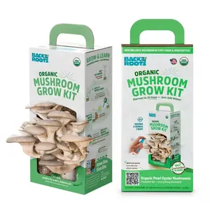 Caixa de papelão de alta qualidade para cultivo de cogumelos frescos, kit de cultivo com alça, caixa de embalagem para cultivo de cogumelos, polpa reciclável