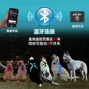 CD1118 APP için LED ışık dostu bez orta ölçekli köpek koşum lüks spor stil Golden Retriever <span class=keywords><strong>Training</strong></span> eğitim - Product Image 2