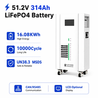 Batterie LiFePO4 de stockage d'énergie solaire commerciale et domestique à cycle long 51.2V 314AH 16KWH avec bande LED