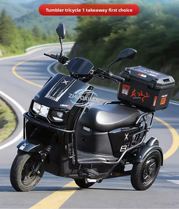 Triciclo Eléctrico de Carga Abierto Sky, 72V, Alta Velocidad, 1000W, Motocicleta con Capacidad de Carga de 100-200 kg - Product Image 5