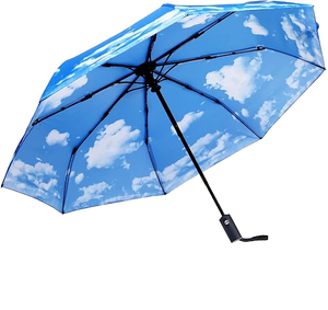 Women's Luxury 8K Ribs UV Protection Automatic & Manual Sun Umbrella Pastel Parasol with Custom Printed Flower Logo for Travel
