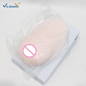 Modelo de Silicona Médica para Entrenamiento de <span class=keywords><strong>Lactancia</strong></span> <span class=keywords><strong>y</strong></span> Forma de Senos Durante la <span class=keywords><strong>Lactancia</strong></span> - Product Image 2