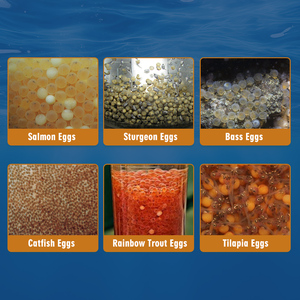 Bình ấp trứng cá hồi trong nhà MC, cốc ấp trứng cho cá con, thiết bị nuôi trồng thủy sản - Product Image 6