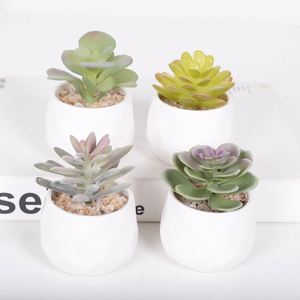 New DIY <strong>Small</strong> <strong>Potted</strong> <strong>Plants</strong> <strong>Indoor</strong> Decoration Artificial Succulent <strong>Plants</strong> - Product Image 4